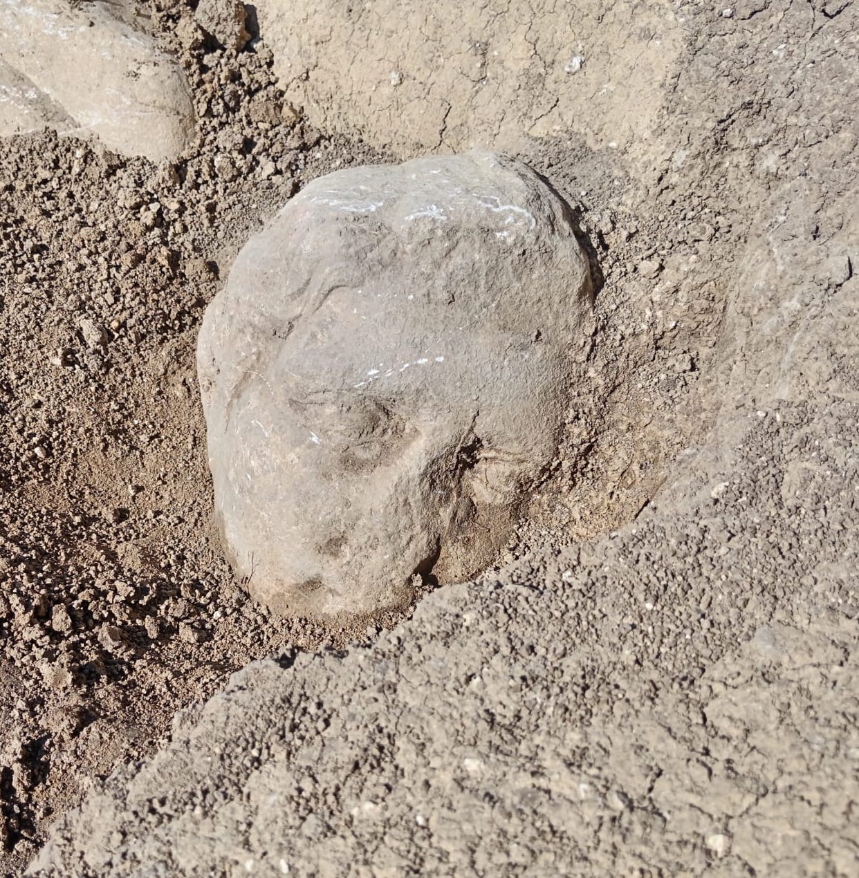 I secoli di Marruvium, splendidissima civitas: presentazione dei risultati degli scavi preventivi in località Abbazia